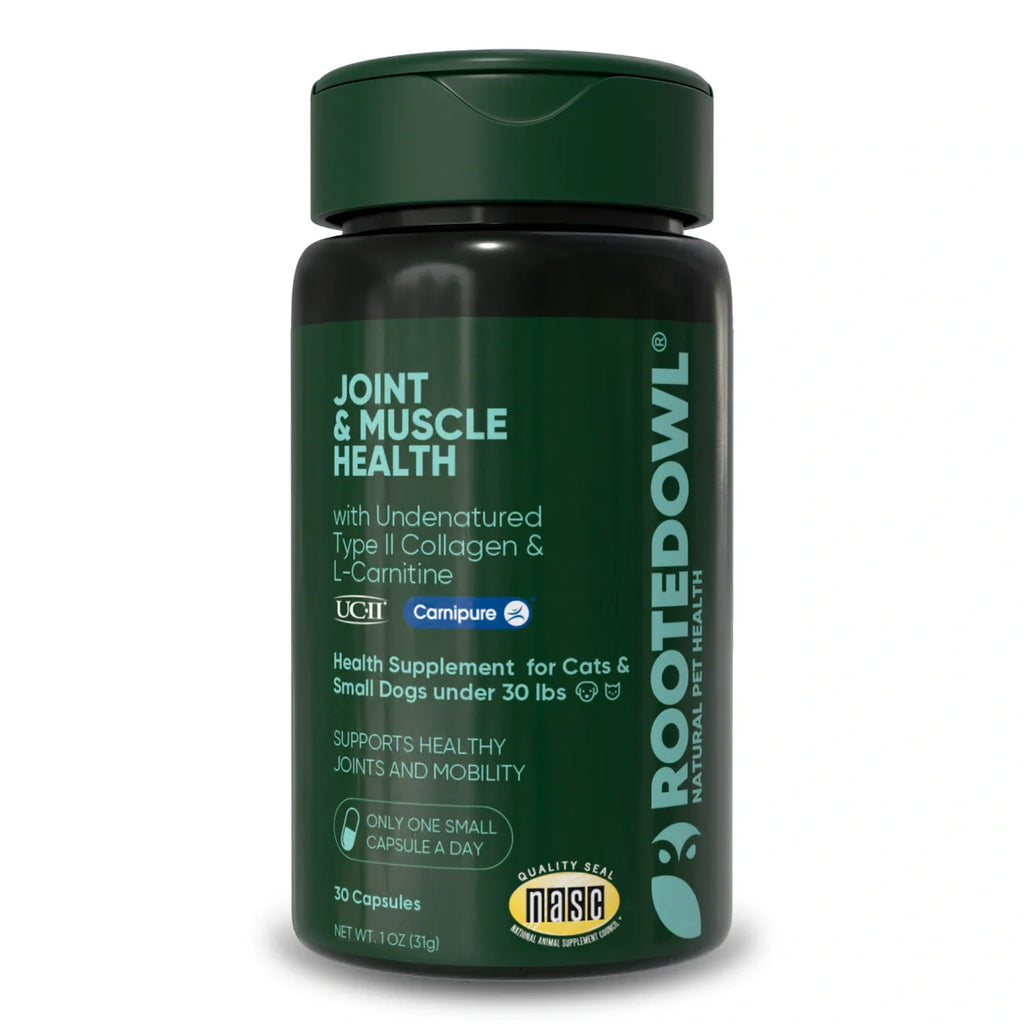 Joint & Muscle Health Supplement for Dogs