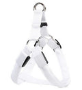 LED Glowing Dog Harness & Leash Set