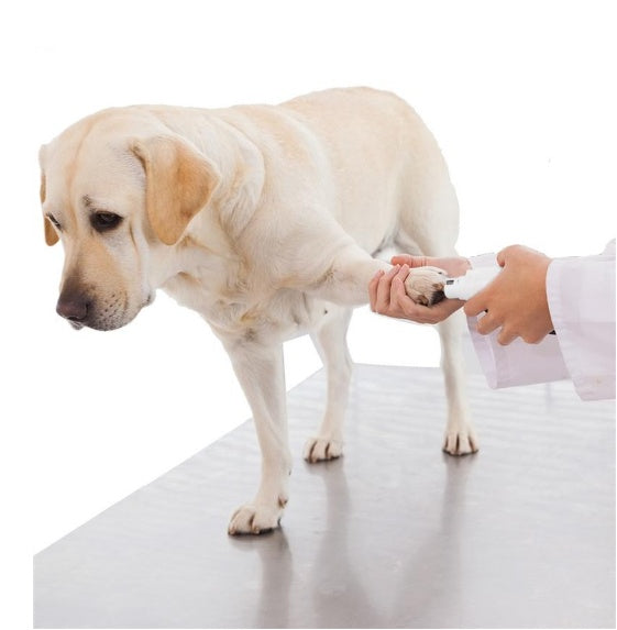 Rechargeable Electric Pet Nail Grinder