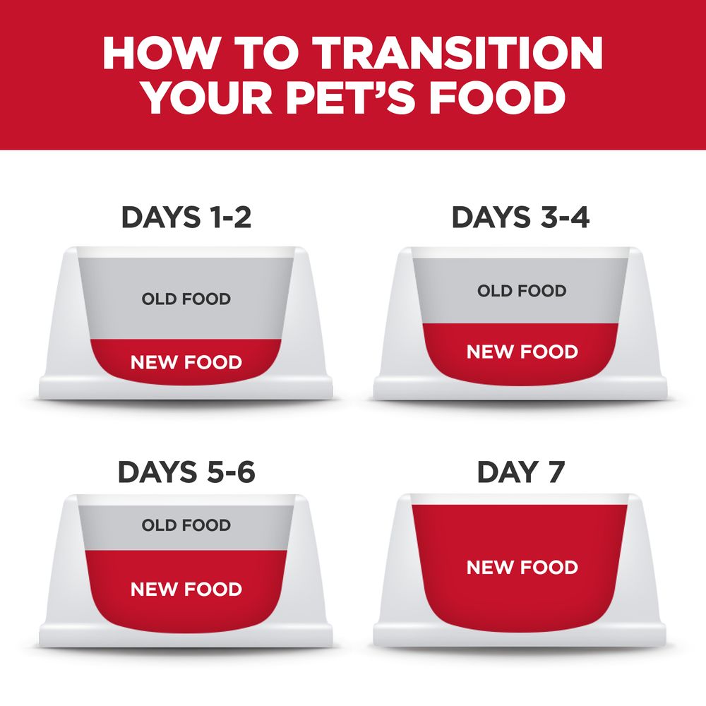 Hill's Science Diet Small Breed Sensitive Stomach Dog Food