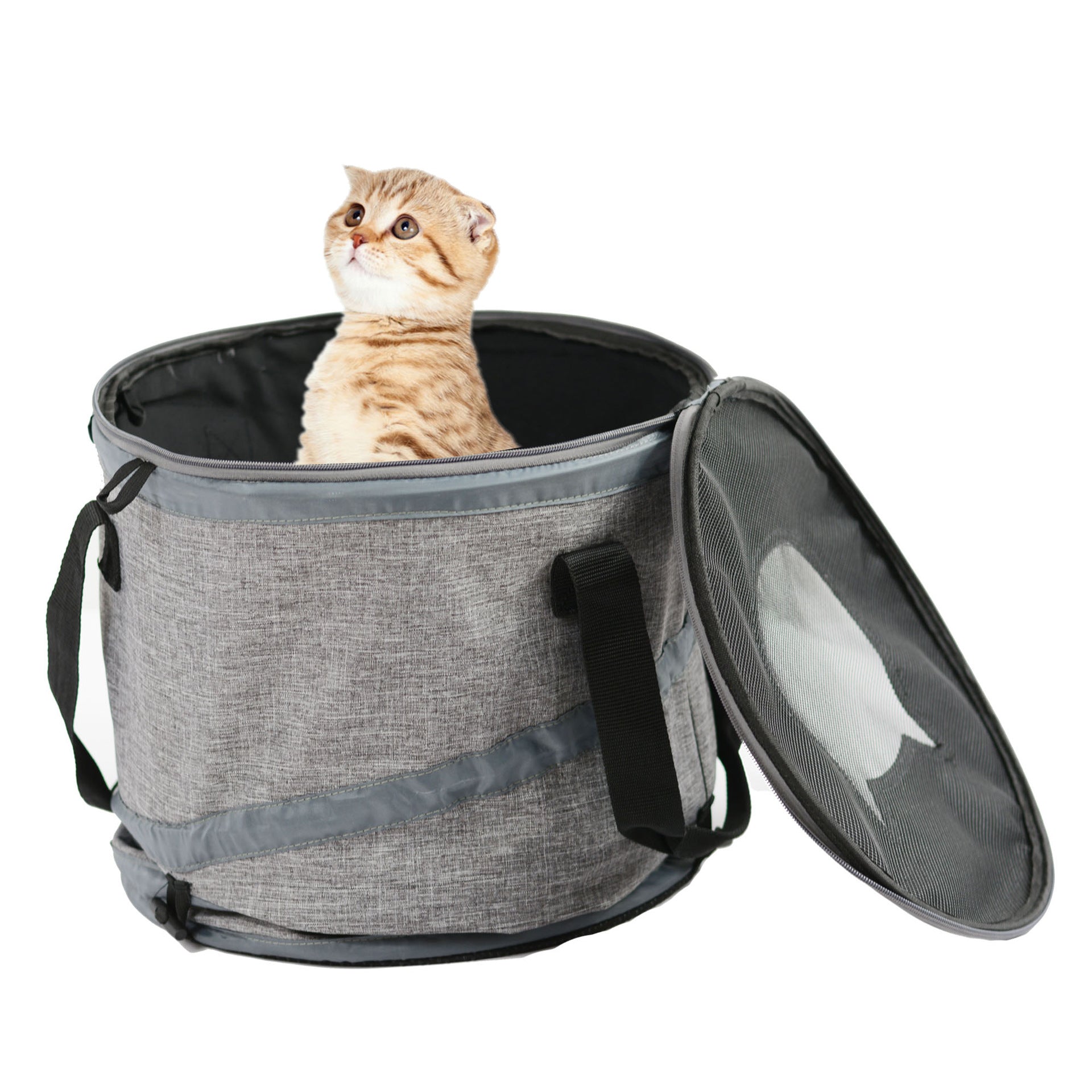 Foldable Cat Tunnel Kennel Carrier