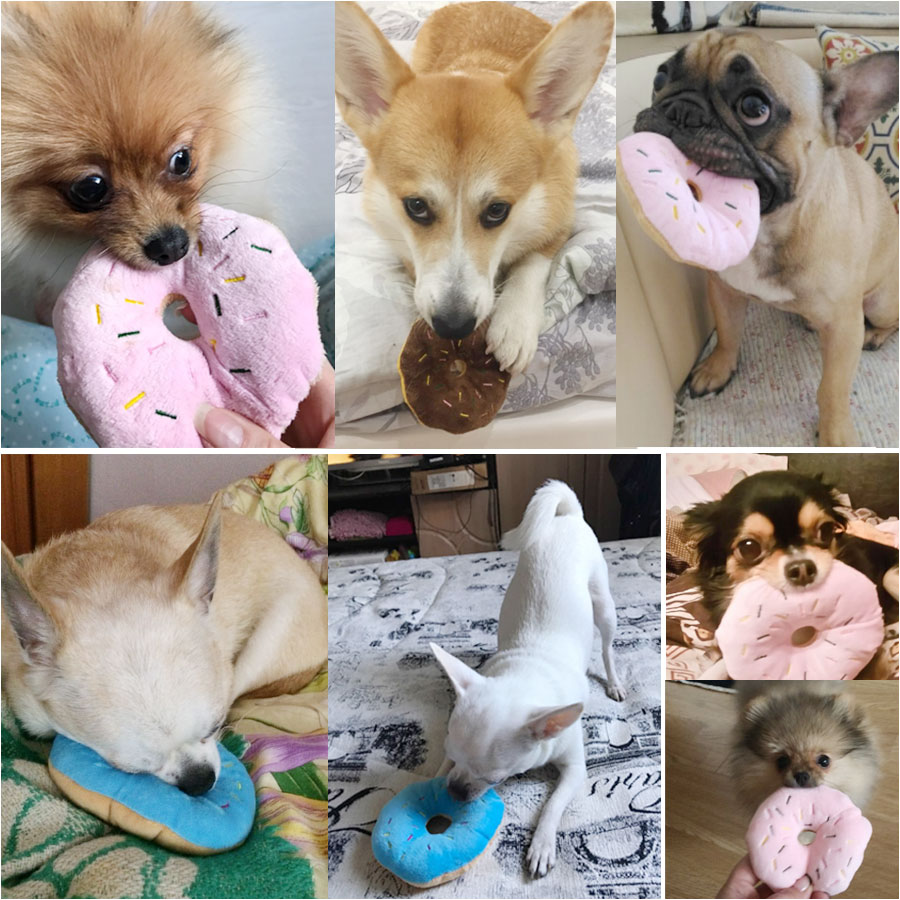 Donut Plush Squeaky Pet Toy
