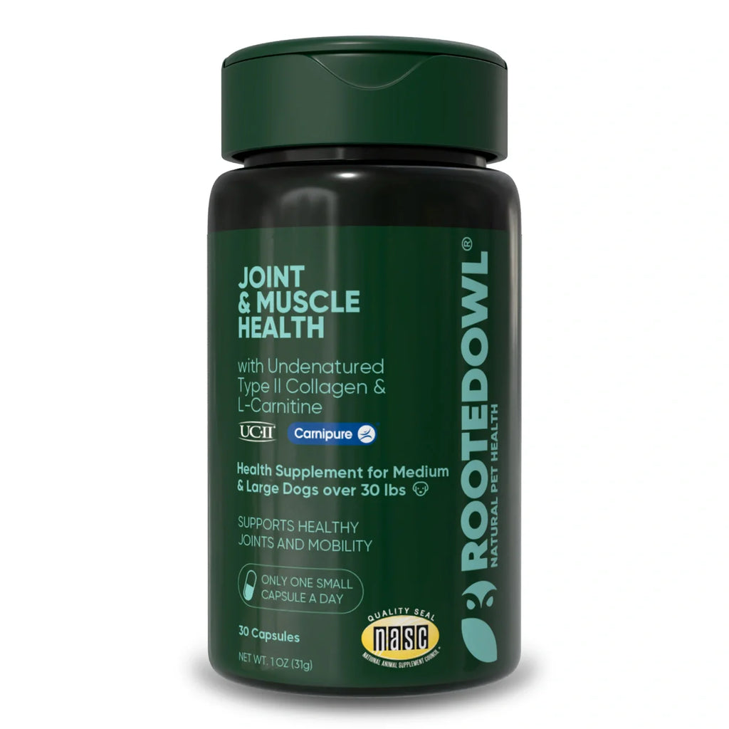 Joint & Muscle Health Supplement for Medium & Large Dogs