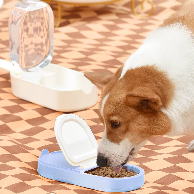 Portable Dog Water Bottle & Travel Kettle