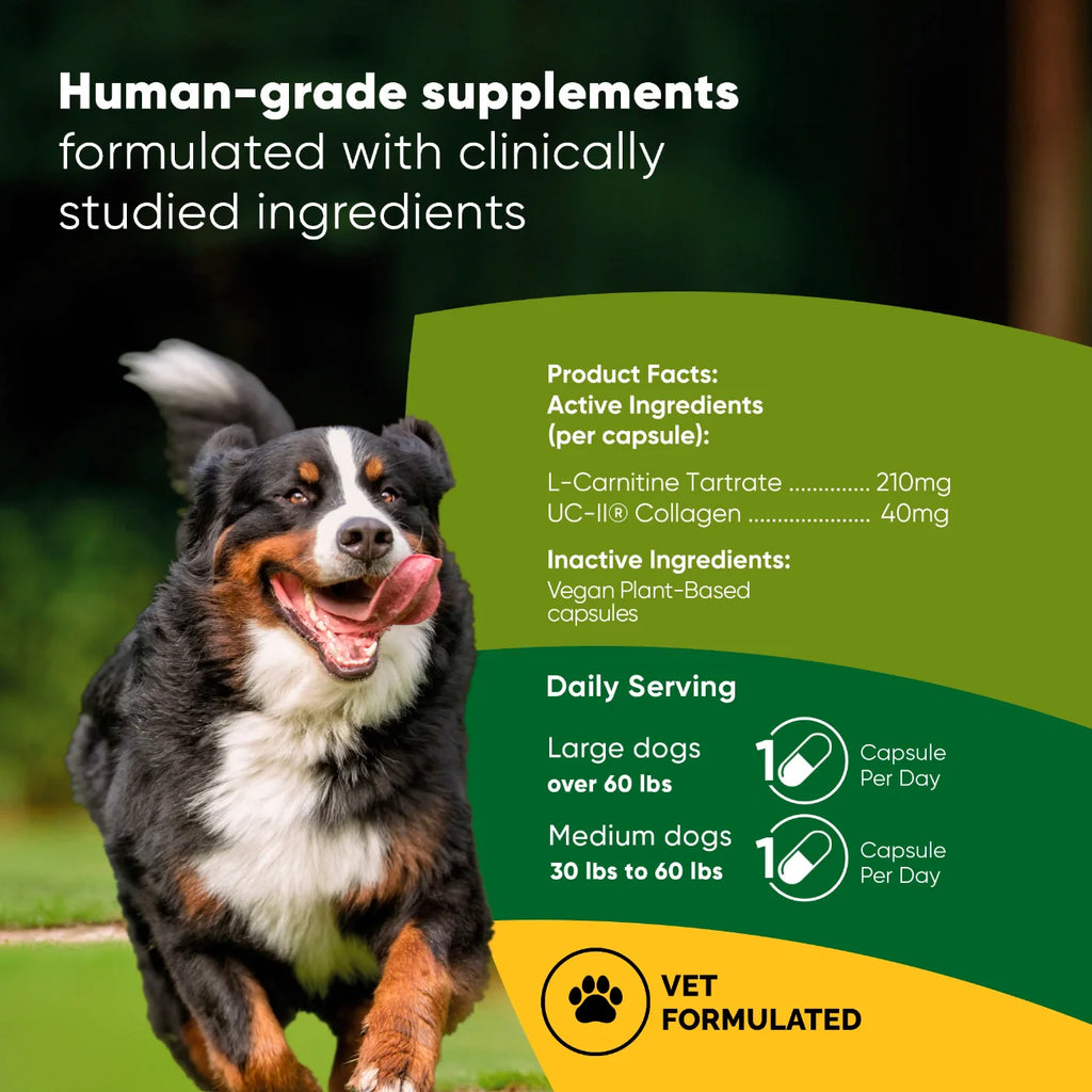 Joint & Muscle Health Supplement for Medium & Large Dogs