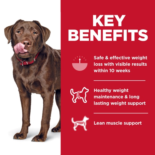 Hill's Science Diet Large Breed Perfect Weight Dog Food 25lb