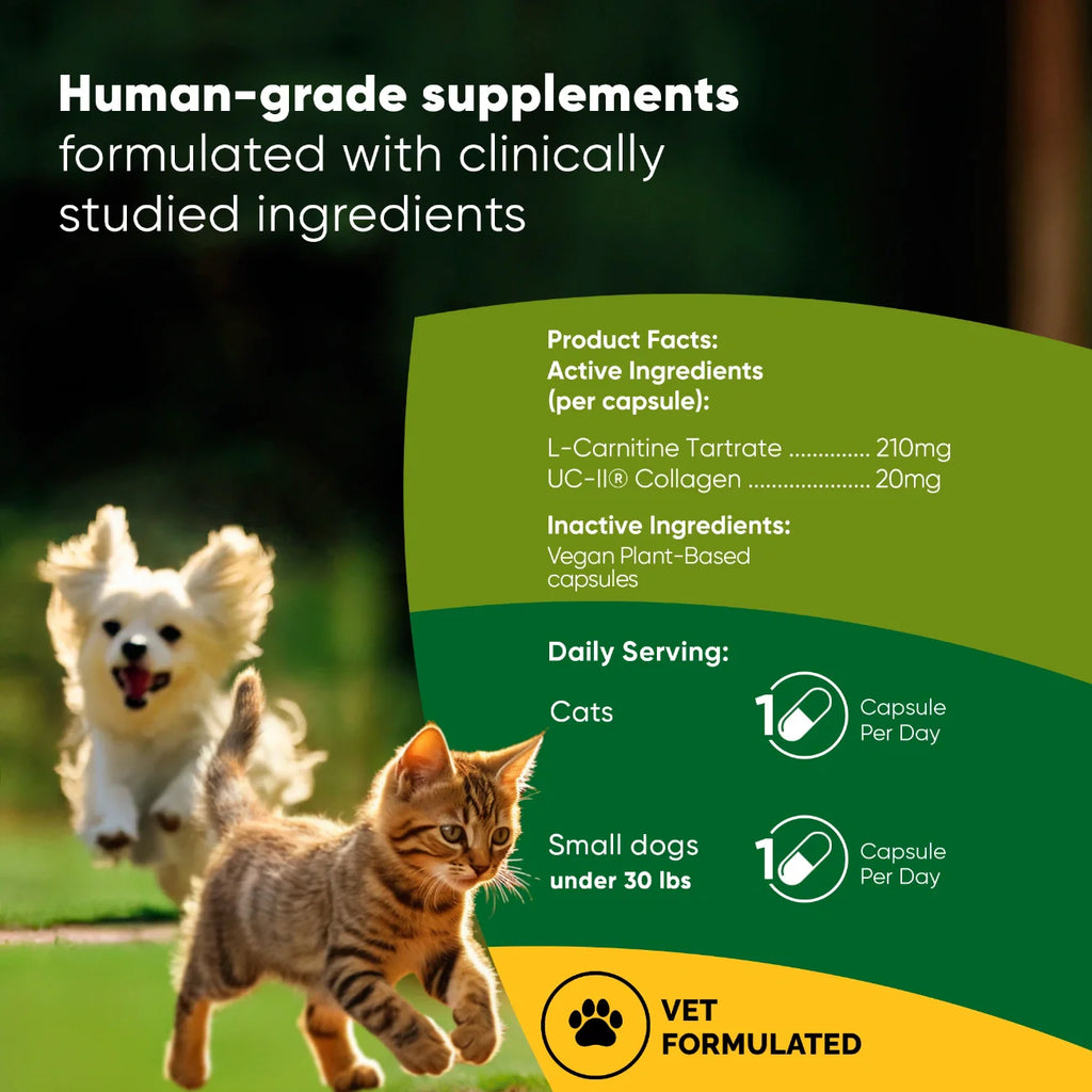 Joint & Muscle Health Supplement for Dogs