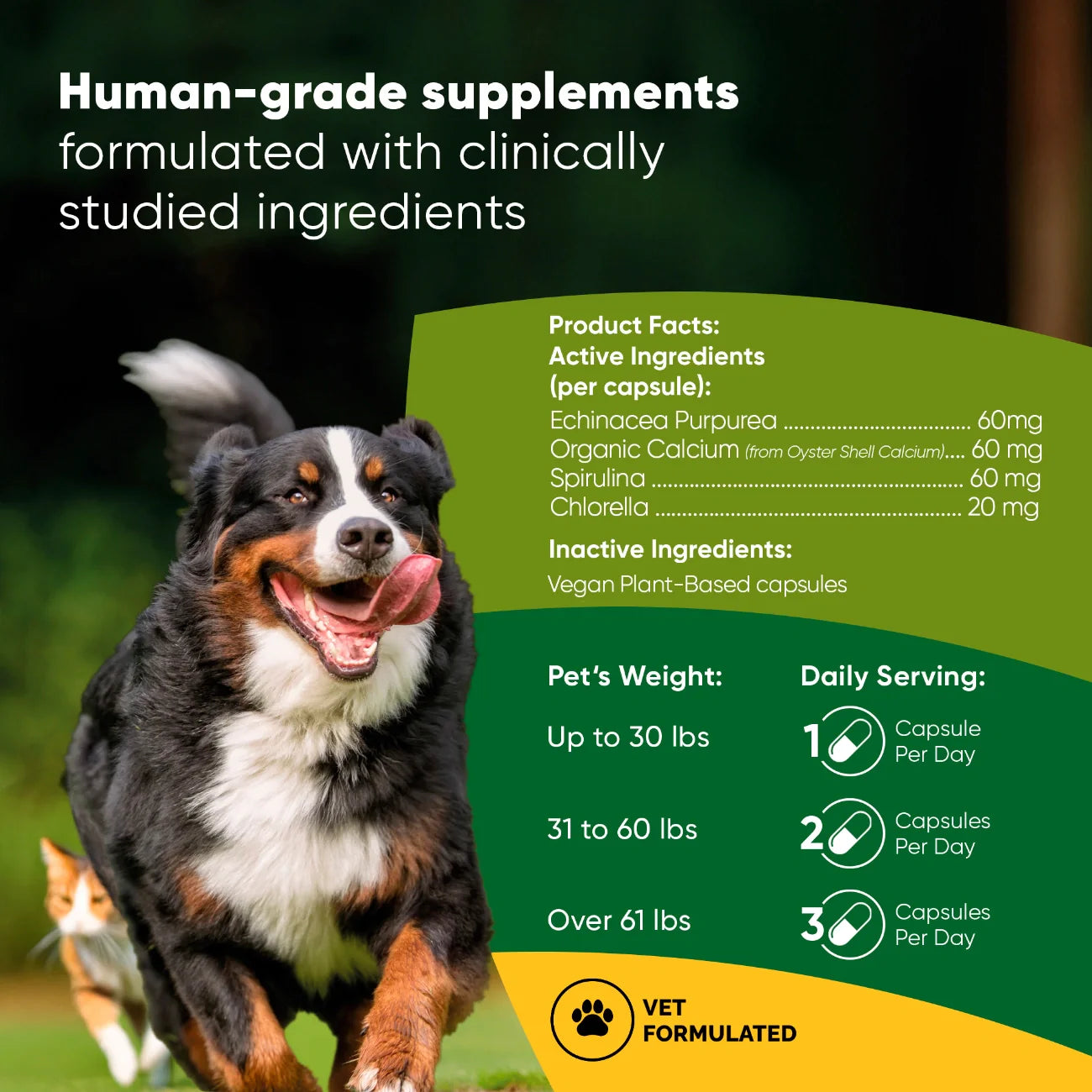 Spirulina & Chlorella Supplement for Dogs