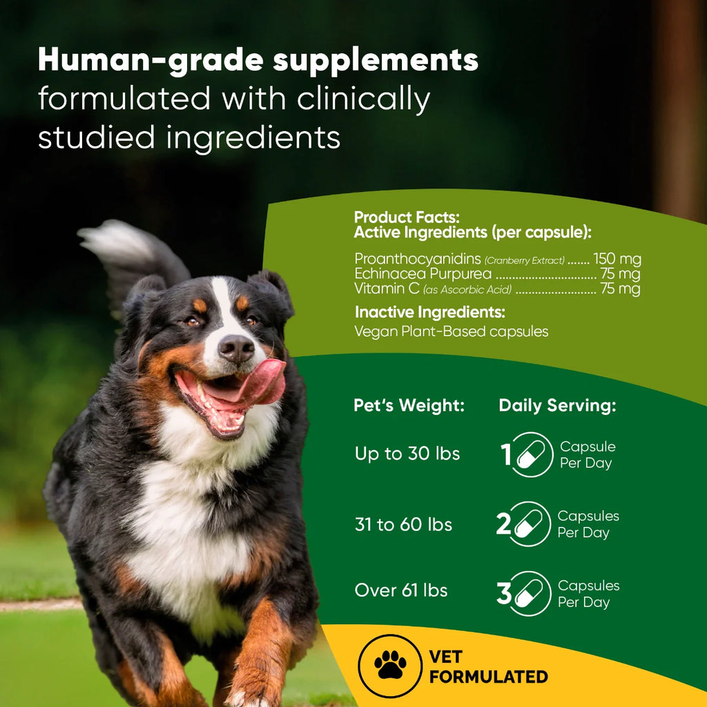 Urinary Support Supplement for Dogs