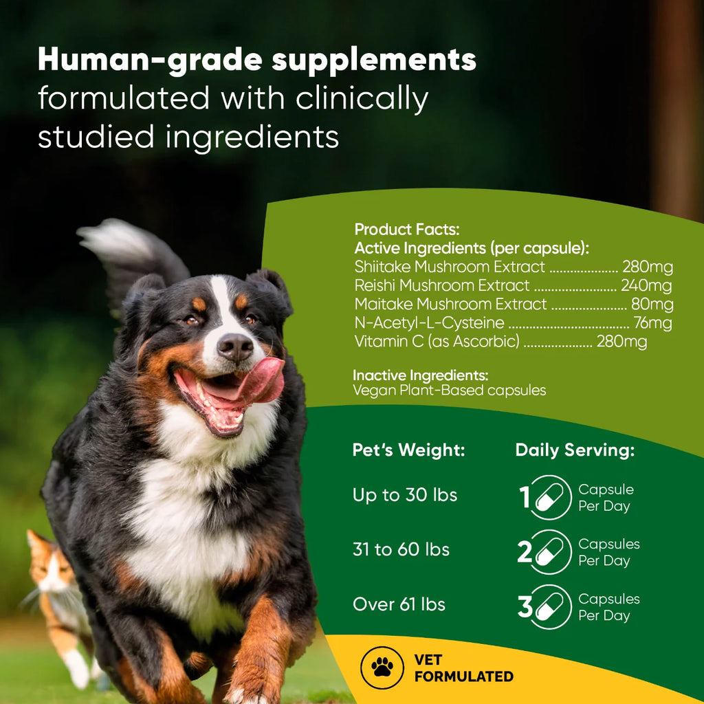 Mushroom Immune Support Supplement for Dogs