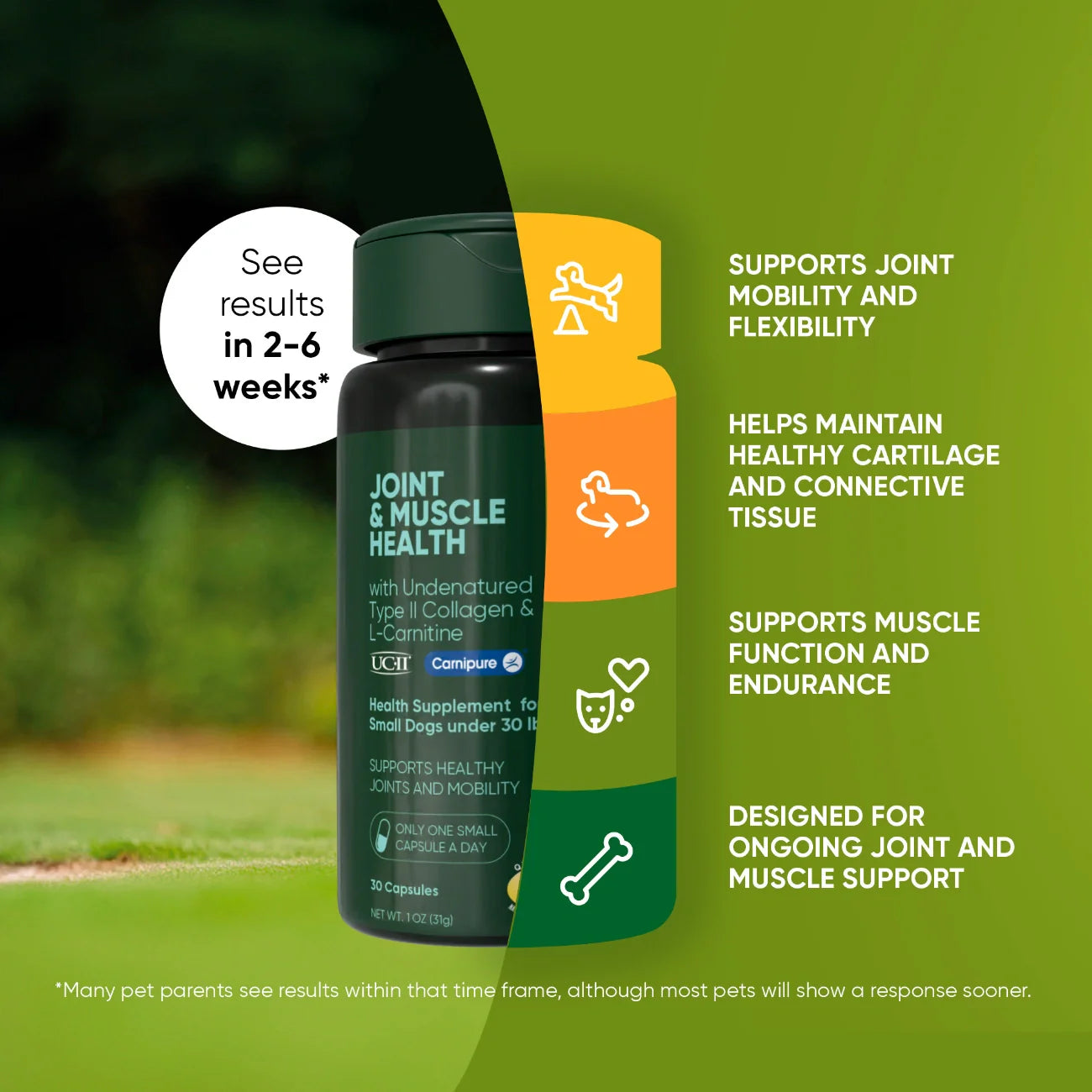Joint & Muscle Health Supplement for Dogs