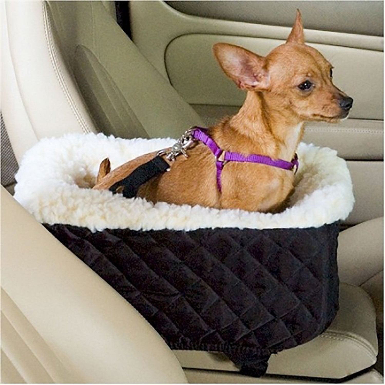 Car Safety Pet Seat with Cushion Bed
