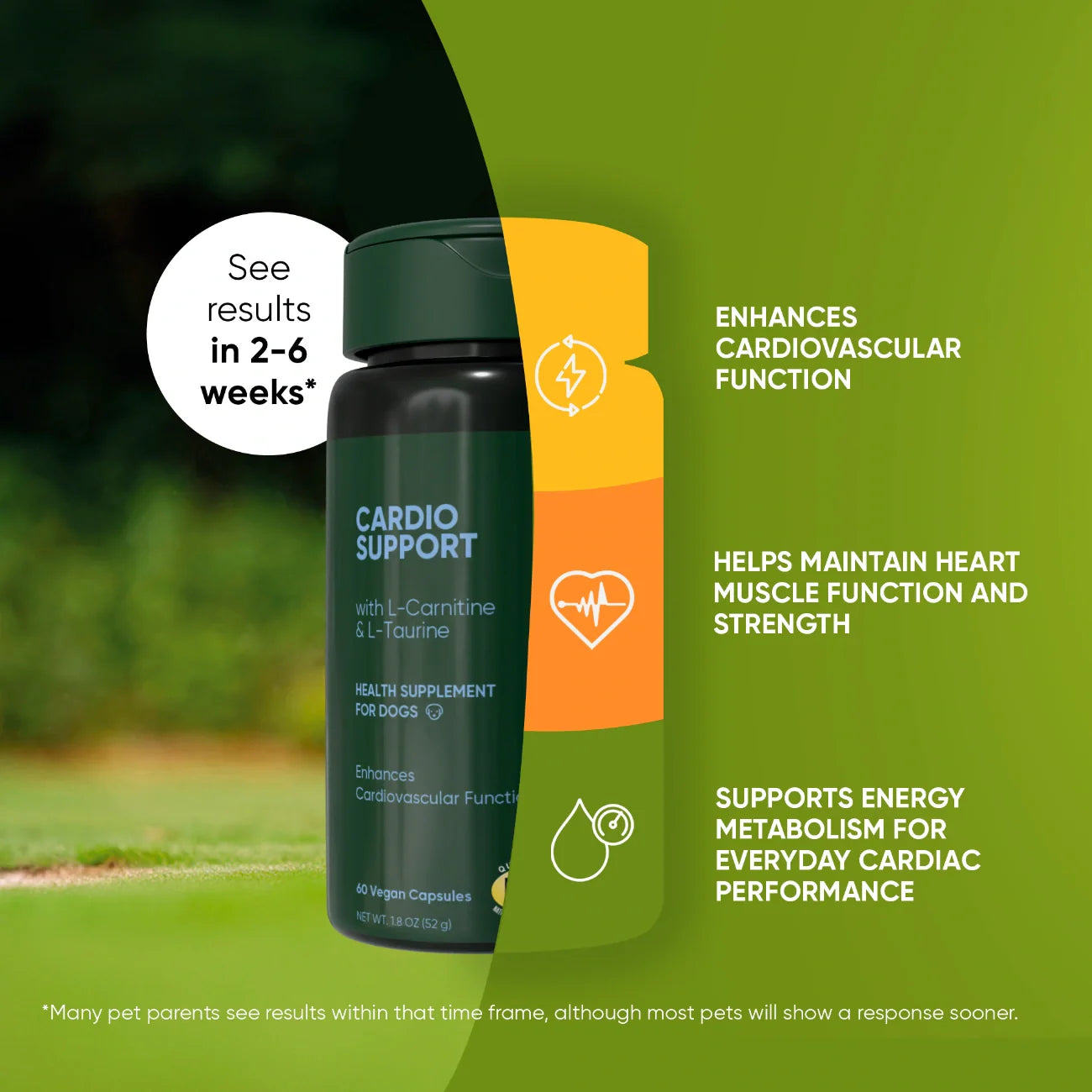 Cardio Support Supplement for Dogs