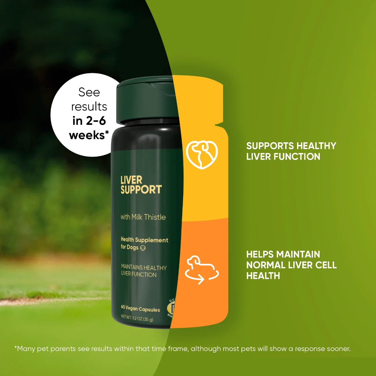 Liver Support Supplement for Dogs