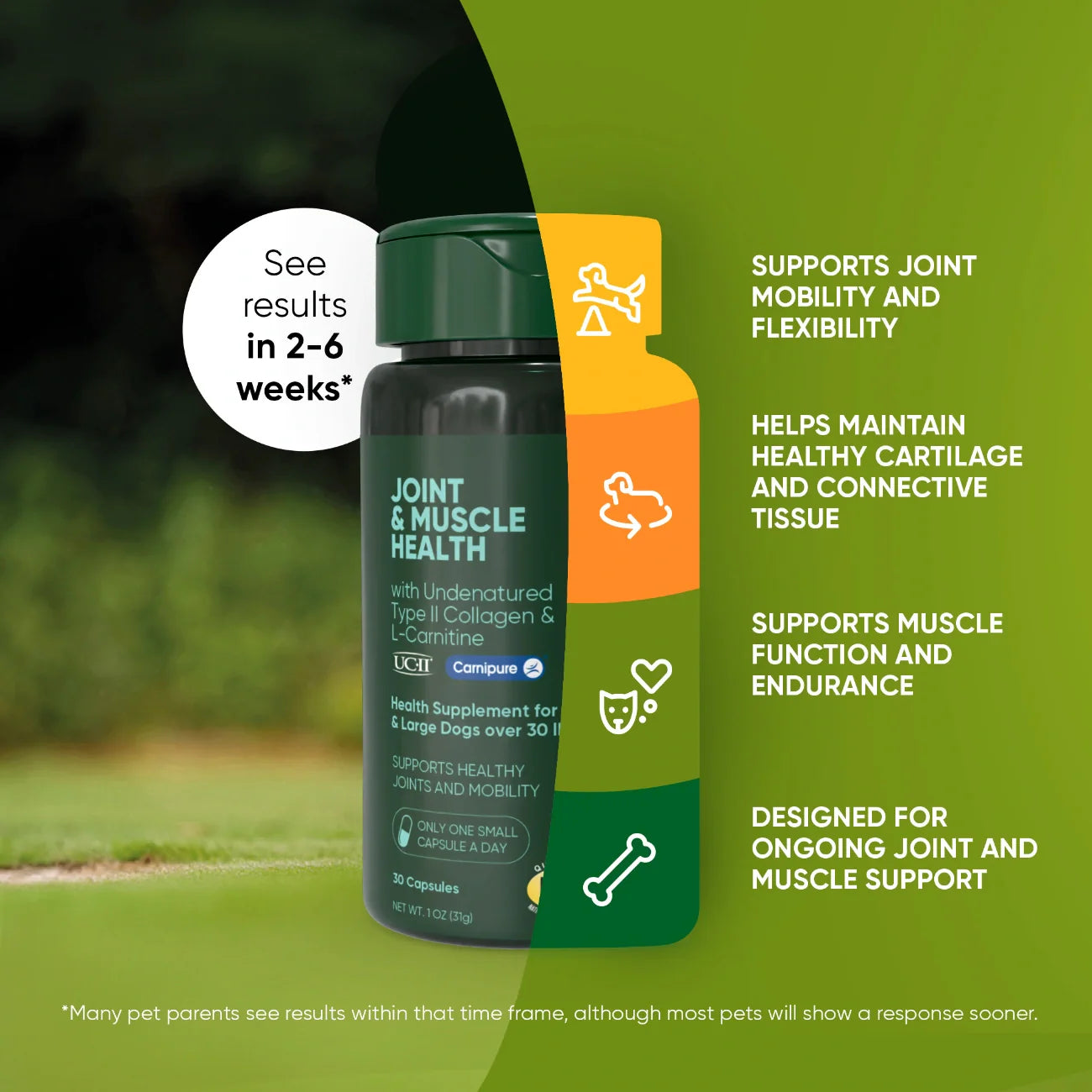 Joint & Muscle Health Supplement for Medium & Large Dogs