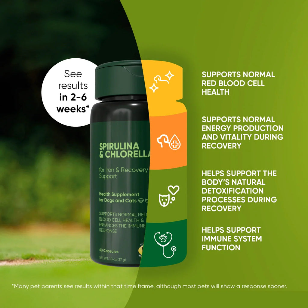 Spirulina & Chlorella Supplement for Dogs