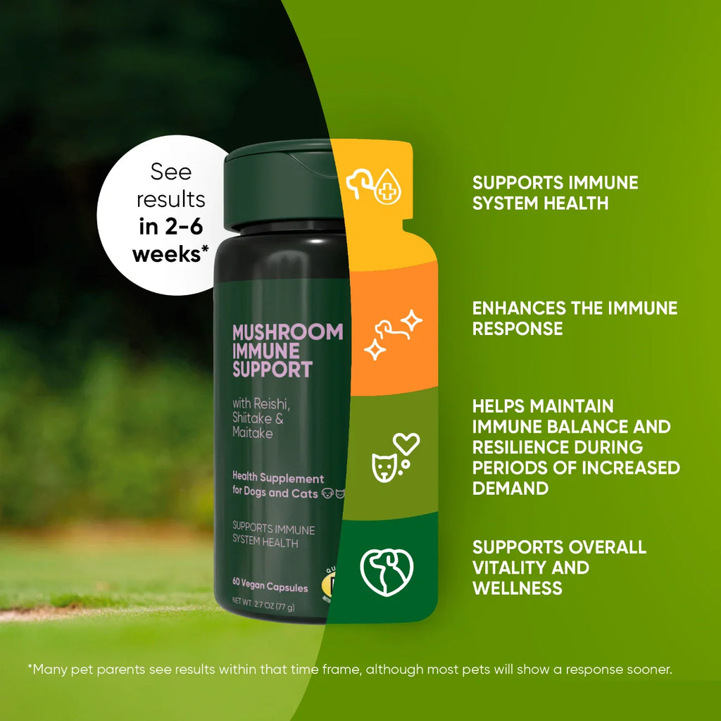 Mushroom Immune Support Supplement for Dogs