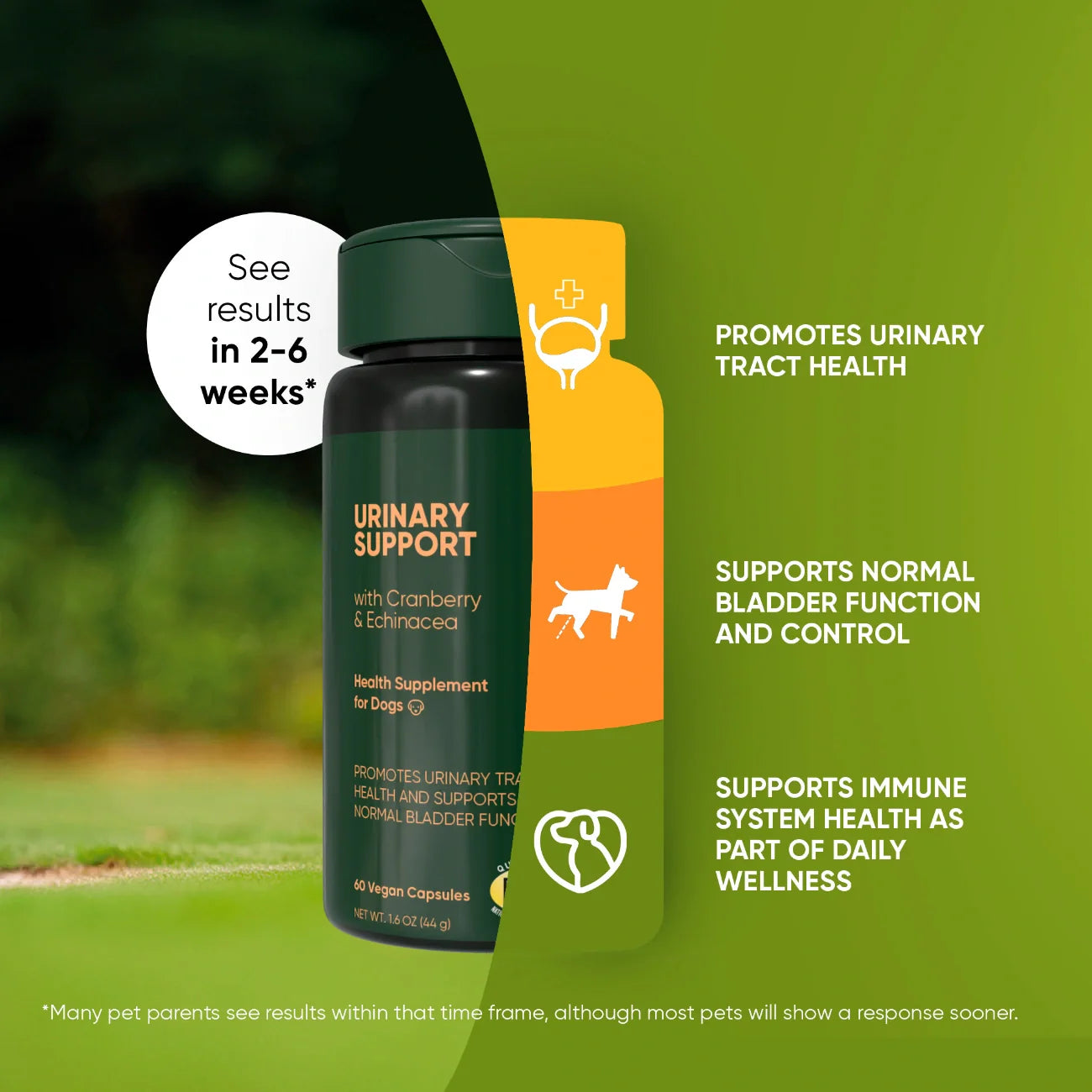 Urinary Support Supplement for Dogs