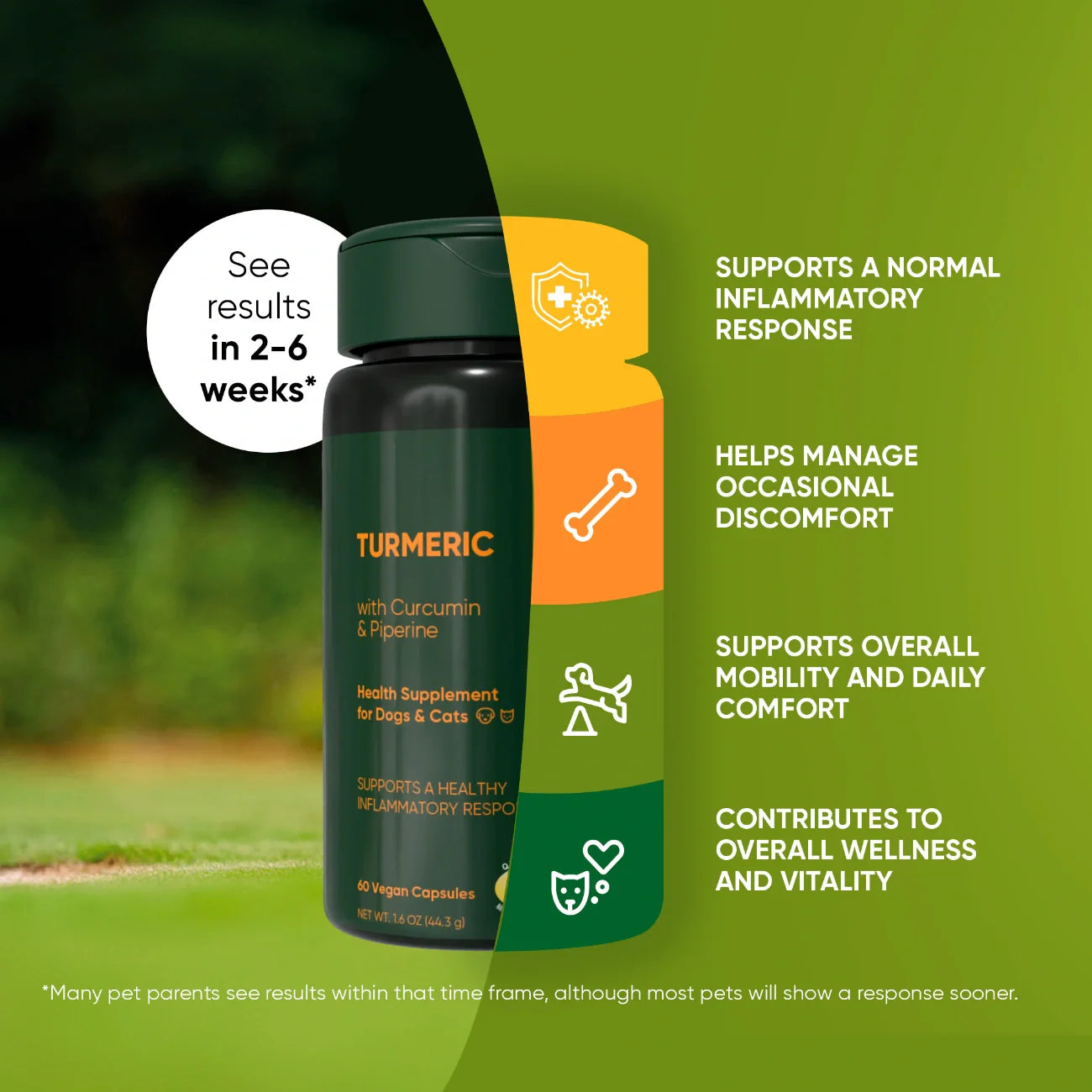 Turmeric Supplement for Dogs