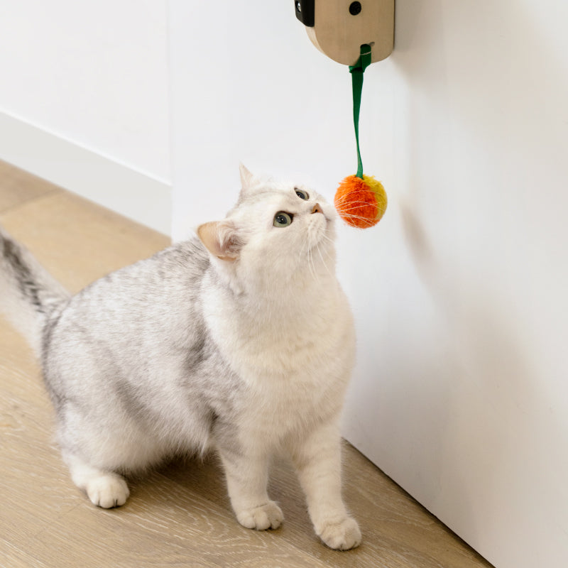 Wall-Mounted Cat Scratch Board & Climbing Frame