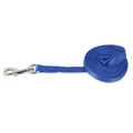 Aspen Pet Nylon Dog Leash