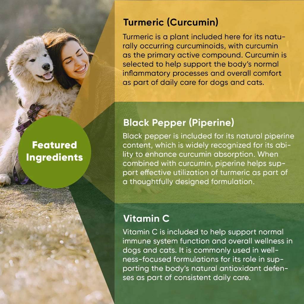 Turmeric Supplement for Dogs