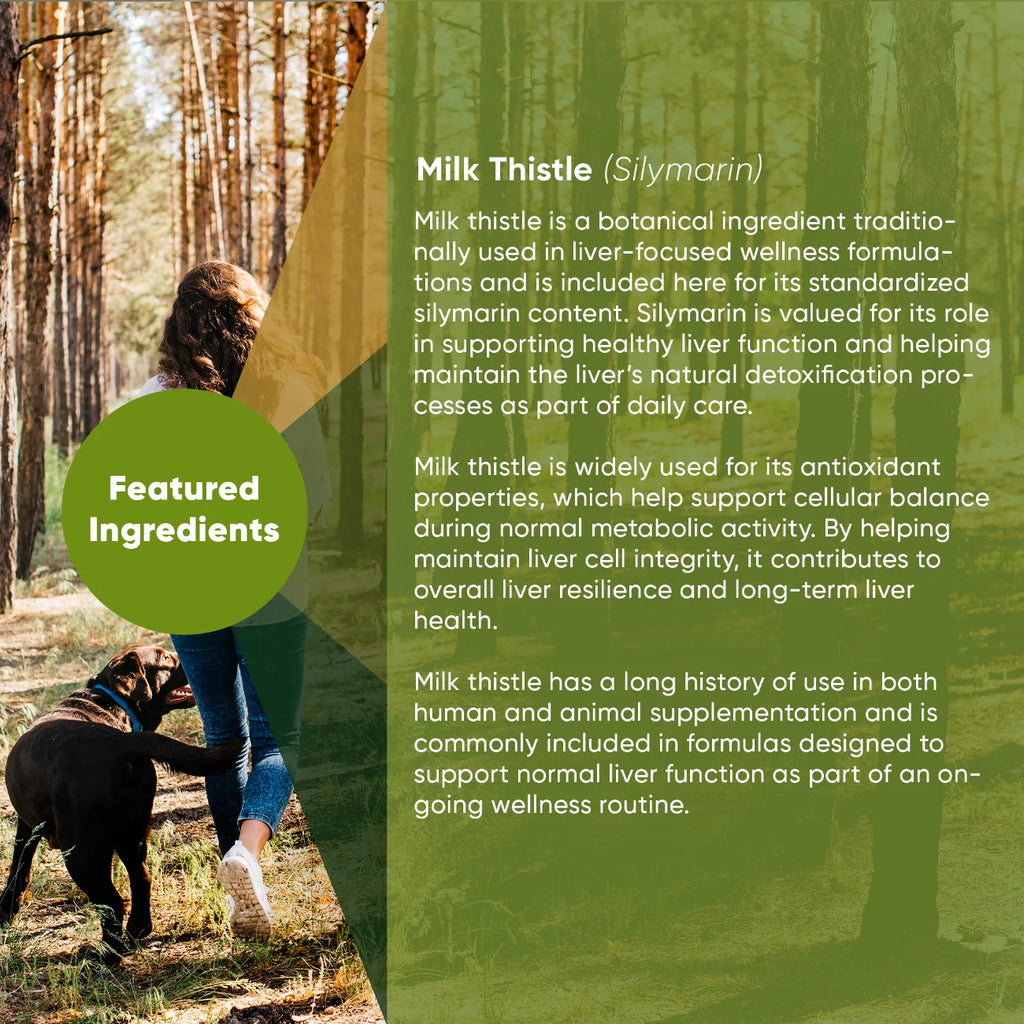 Liver Support Supplement for Dogs