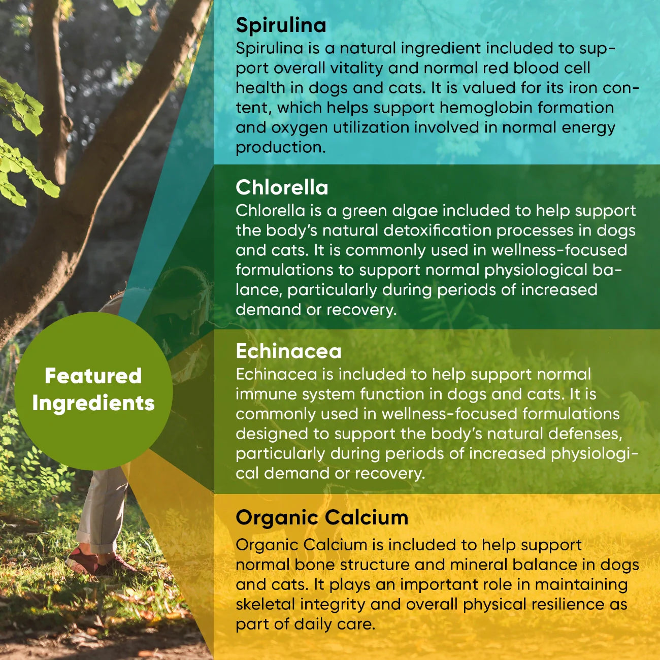 Spirulina & Chlorella Supplement for Dogs