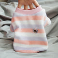 Cat Autumn and Winter Clothing