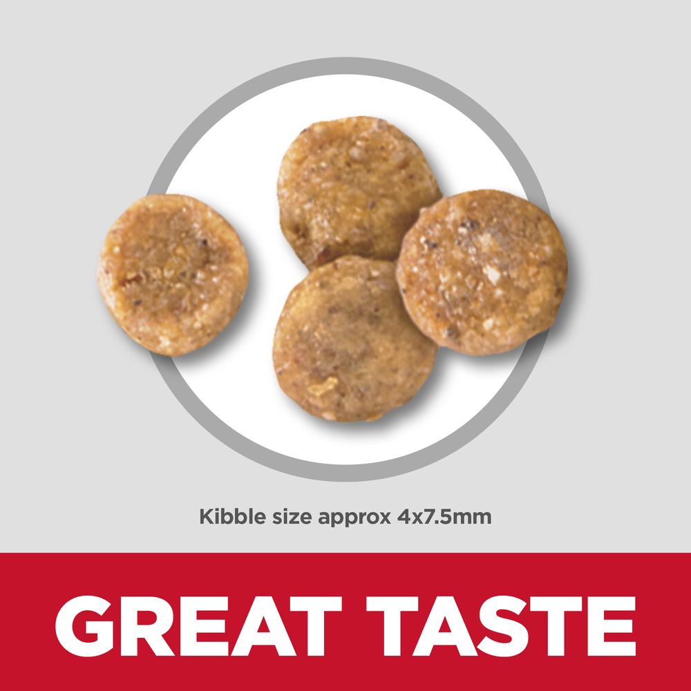 Hill's Science Diet Small Breed Sensitive Stomach Dog Food