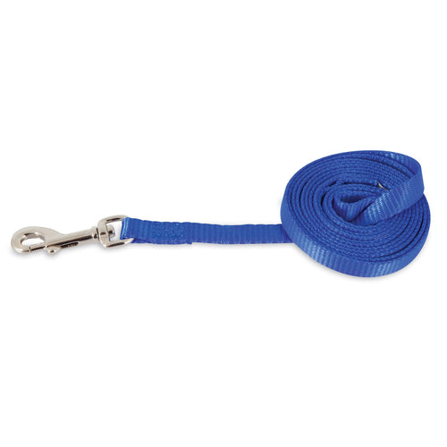 Aspen Pet Nylon Dog Leash