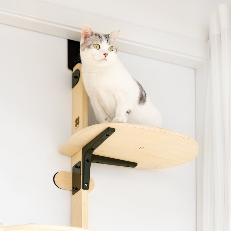 Wall-Mounted Cat Scratch Board & Climbing Frame