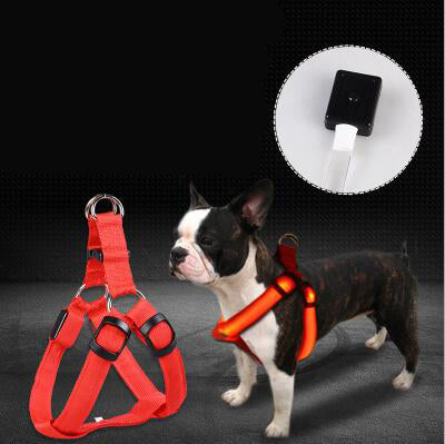 LED Glowing Dog Harness & Leash Set