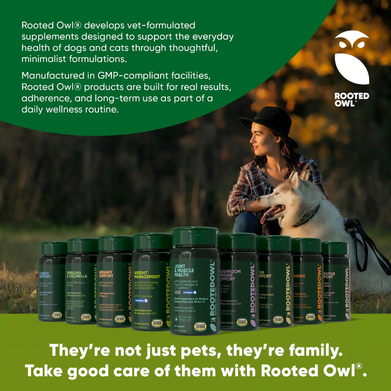 Mushroom Immune Support Supplement for Dogs