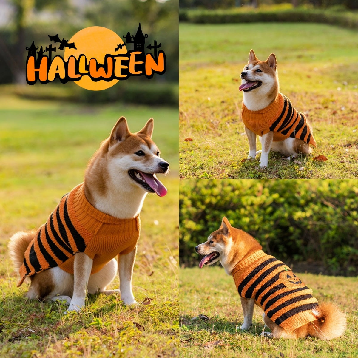 Halloween Costume Sweater for Dogs