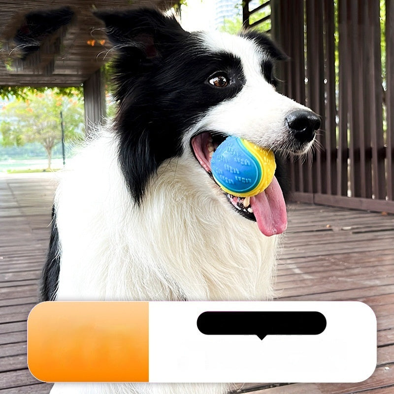Molar Training Ball Dog Toy