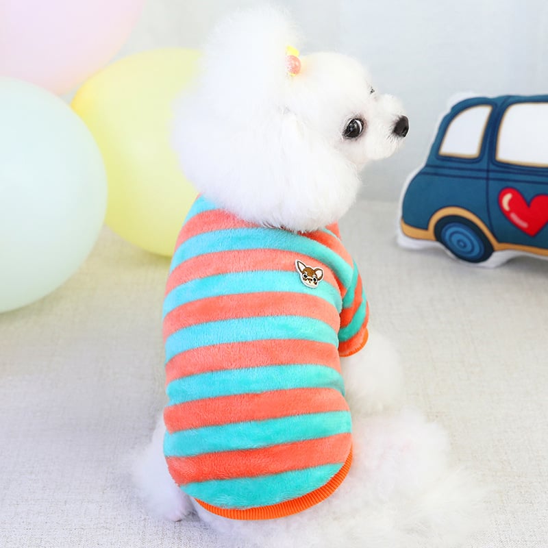 Winter Teddy Bichon Rainbow Fleece Cat Clothing