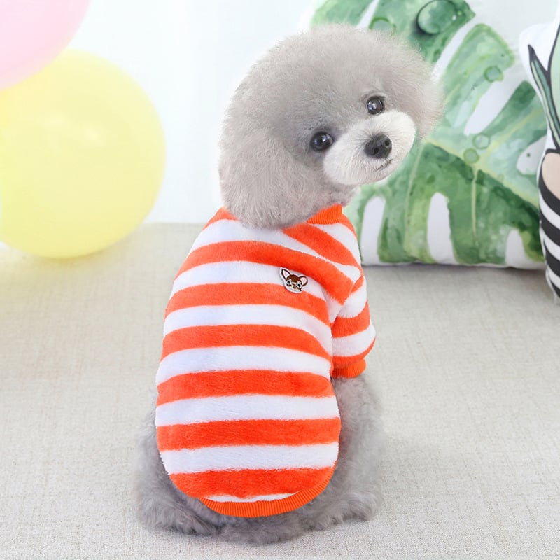 Winter Teddy Bichon Rainbow Fleece Cat Clothing