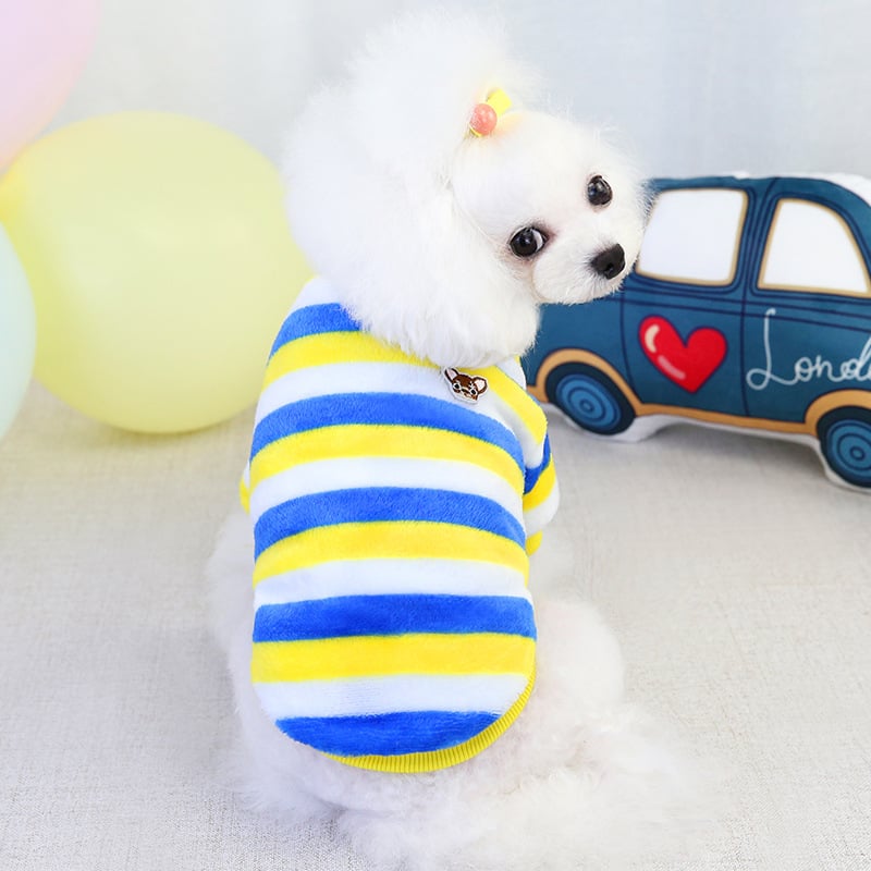 Winter Teddy Bichon Rainbow Fleece Cat Clothing