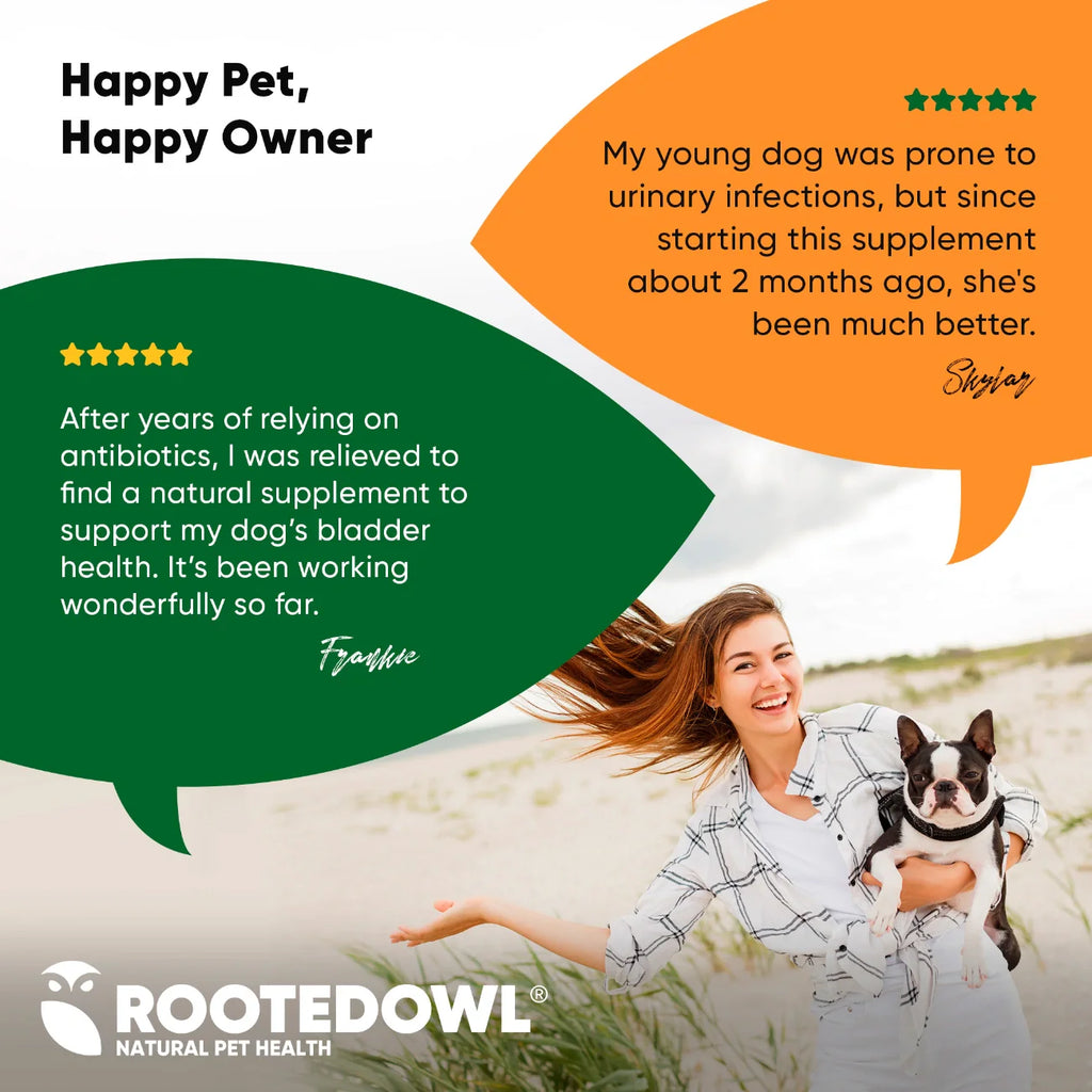 Urinary Support Supplement for Dogs