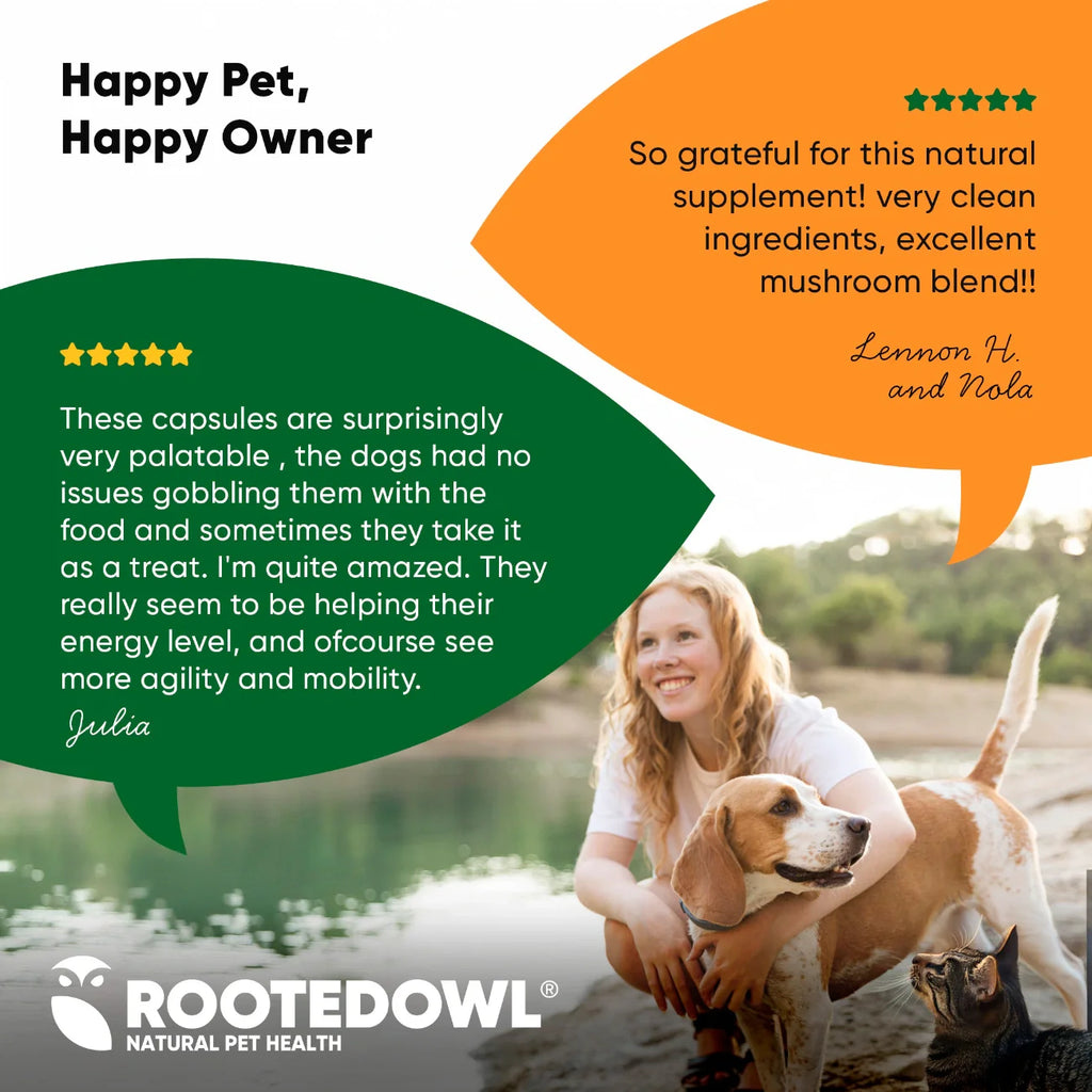 Mushroom Immune Support Supplement for Dogs