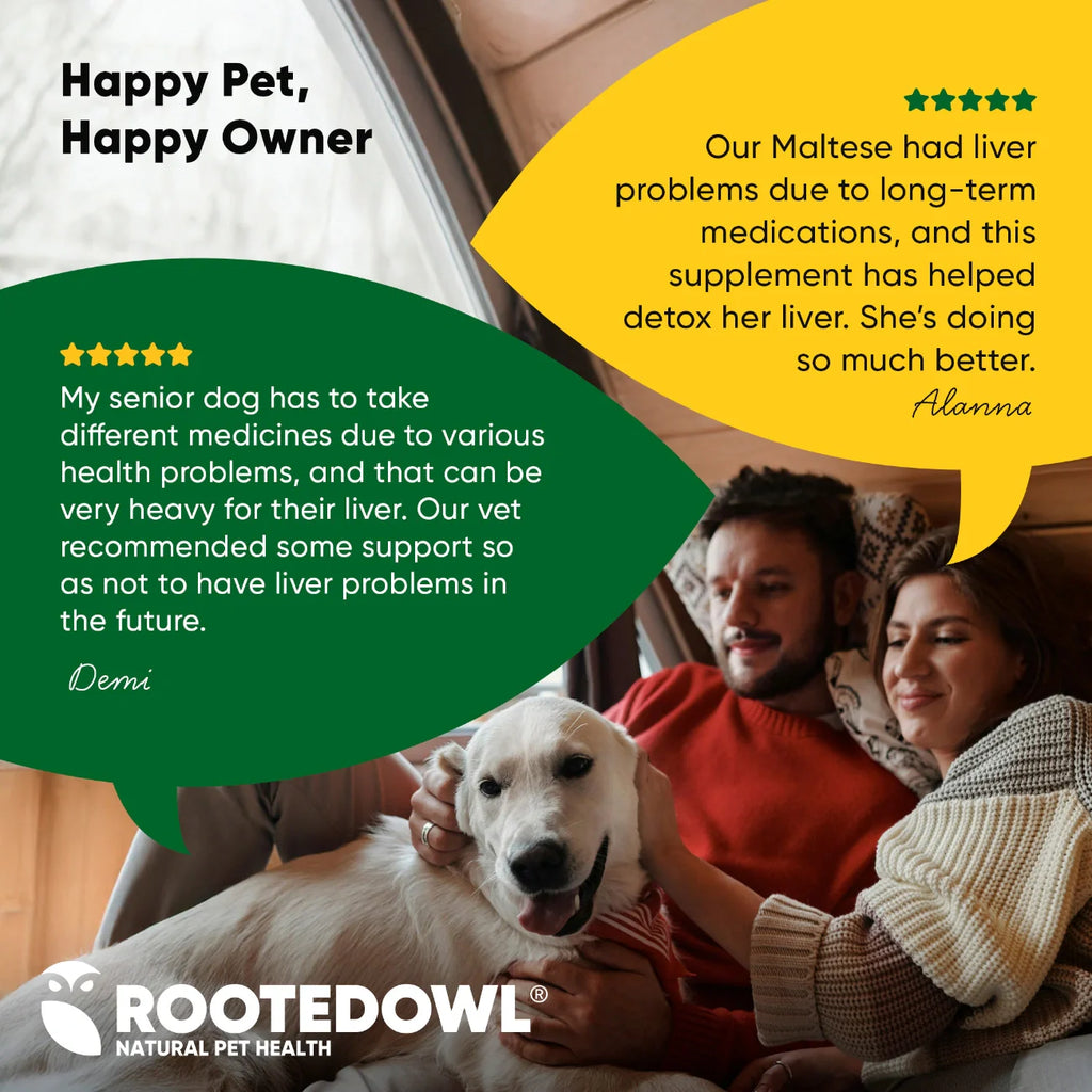 Liver Support Supplement for Dogs