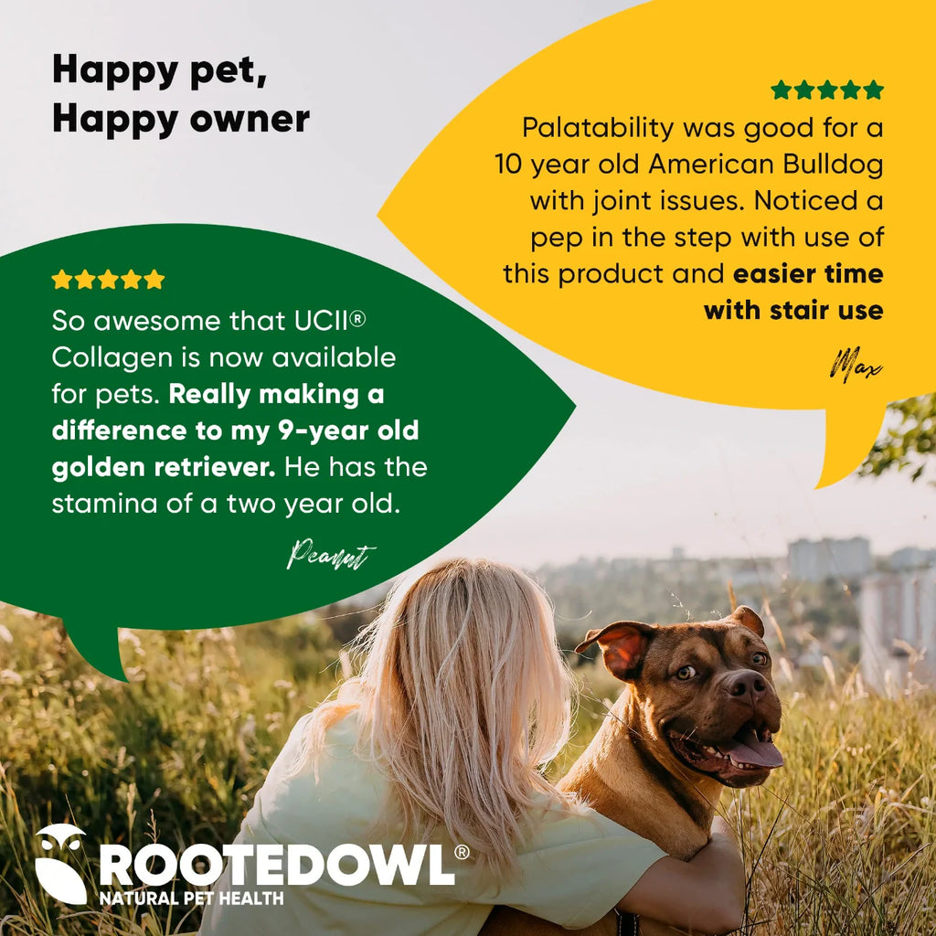 Joint & Muscle Health Supplement for Medium & Large Dogs
