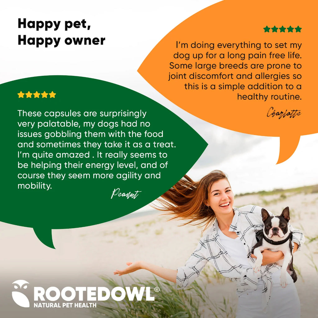 Turmeric Supplement for Dogs