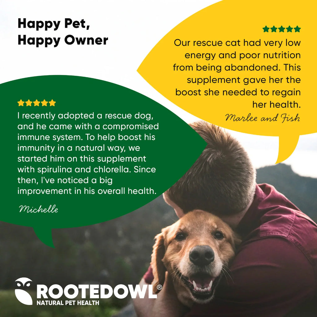 Spirulina & Chlorella Supplement for Dogs