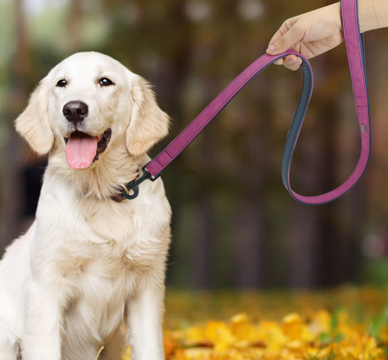 Leather Dog Leash – Anti-Pull, Multi-Color