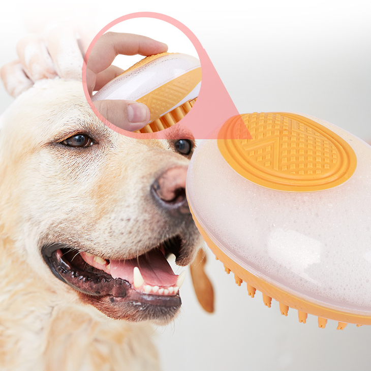 2-in-1 Silicone Bath & Massage Brush