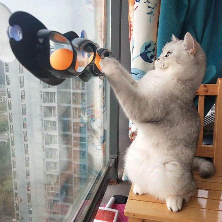 Windowsill Suction Cat Track Ball Toy