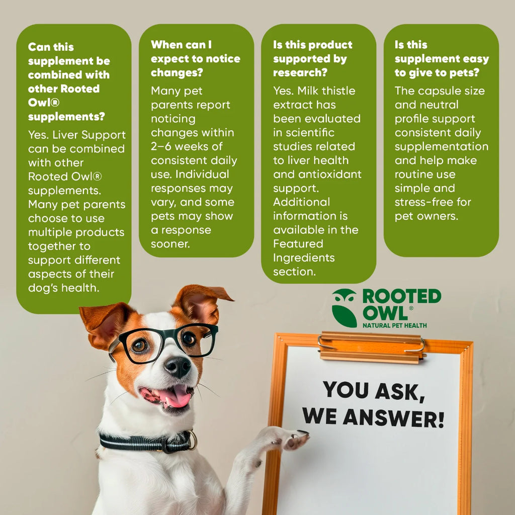 Liver Support Supplement for Dogs