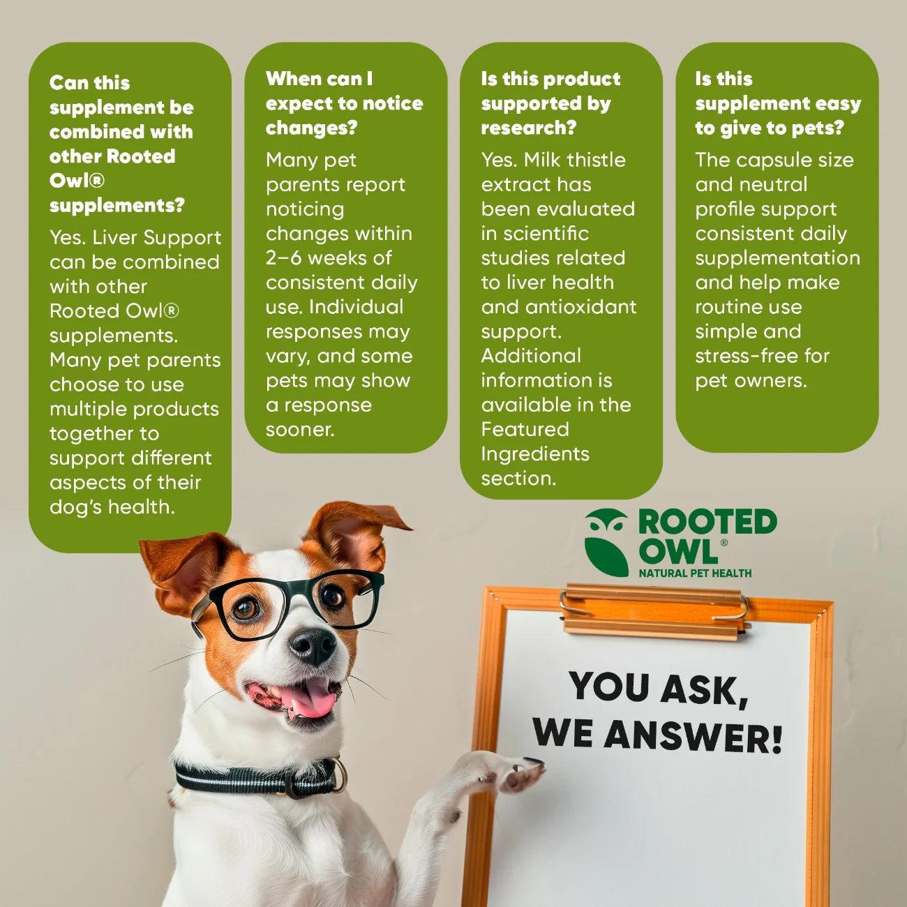 Liver Support Supplement for Dogs